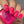 Load image into Gallery viewer, 611fc05e3c4ce80992caae23_photo-feb-13-2025-2-10-44-pm_1749237823577.jpg