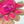 Load image into Gallery viewer, 611fc05e3c4ce80992caae23_photo-output_1749237823578.jpg