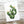 Load image into Gallery viewer, 611fc05e3c4ce80992caae23_prickly-pear-cactus-card_1753881544504.jpg