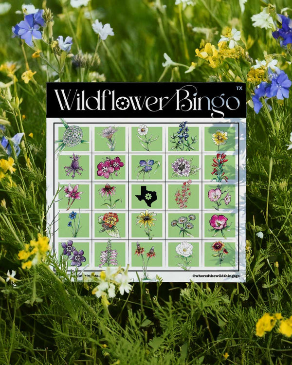 611fc05e3c4ce80992caae23_teaser-wildflower-bingo-tx_1748014451645.jpg