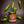 Load image into Gallery viewer, Hot Pepper Jam
