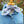 Load image into Gallery viewer, Embroidered Texas Bluebonnet Bandana