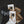 Load image into Gallery viewer, Western Socks