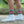 Load image into Gallery viewer, TX Gym Socks
