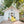 Load image into Gallery viewer, Koko's Guide To Fredericksburg Texas