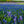Load image into Gallery viewer, Digital Watercolor Art Print | Texas Bluebonnets - 1