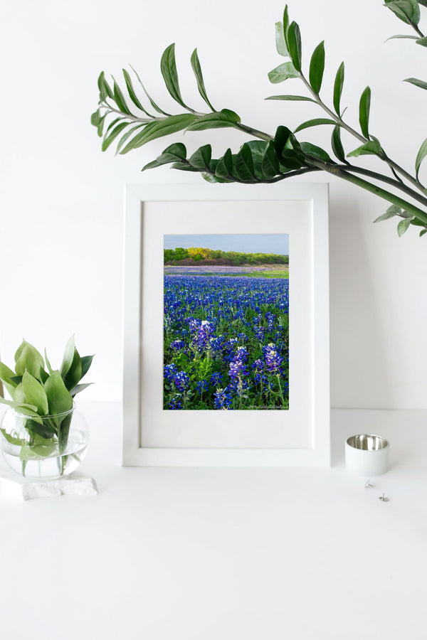 Digital Watercolor Art Print | Texas Bluebonnets - 2