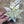 Load image into Gallery viewer, Upcycle Origami Map Ornament - Dallas, Tx - 2