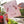 Load image into Gallery viewer, Trust the Timing Art Print - 2