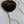 Load image into Gallery viewer, Agate Bolos - 1