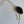 Load image into Gallery viewer, Agate Bolos - 10