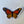 Load image into Gallery viewer, Spread your Wings - 1