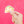 Load image into Gallery viewer, Taco Sticker