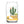 Load image into Gallery viewer, Dallas Succulent Skyline Can Glass