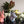 Load image into Gallery viewer, Checkered Painted Paper Mache Animal Planters