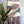 Load image into Gallery viewer, Pink & Grey Dyed Woven Wall Art - 5