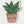 Load image into Gallery viewer, Plants are Friends Sticker