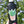 Load image into Gallery viewer, Plants are Friends Sticker