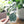 Load image into Gallery viewer, Plant Lady Sticker