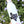Load image into Gallery viewer, Texas Sticker