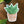 Load image into Gallery viewer, Plants are Friends Sticker