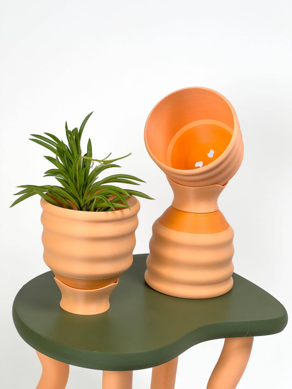 3" Small Wiggle Planters: Fresh Greens