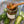 Load image into Gallery viewer, Jalapeño Jelly
