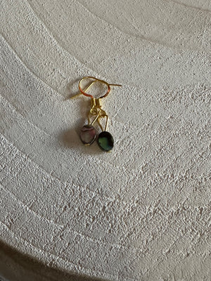 Abalone earrings  - 1