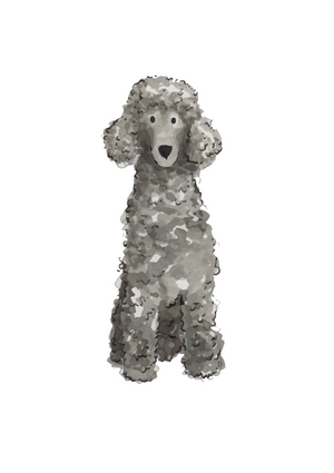 Black Standard Poodle - 1