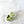 Load image into Gallery viewer, Cucumber Mint Sugar Body Scrub - 2
