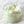 Load image into Gallery viewer, Cucumber Mint Sugar Body Scrub - 3
