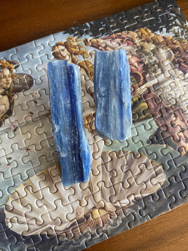Yin Yang Blue Kyanite Earrings - 6