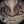 Load image into Gallery viewer, 611fc05e3c4ce80992caae23_17758538616182499184277728405134_1775853897887.jpg
