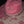 Load image into Gallery viewer, 611fc05e3c4ce80992caae23_17836846039862428497361105256671_1783684617570.jpg

