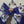 Load image into Gallery viewer, 611fc05e3c4ce80992caae23_17897875208512058958620742984123_1789787537346.jpg
