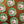 Load image into Gallery viewer, 611fc05e3c4ce80992caae23_20260119-133152_1768859768054.jpg
