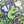 Load image into Gallery viewer, 611fc05e3c4ce80992caae23_20260810-181855_1786491424875.jpg
