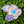 Load image into Gallery viewer, 611fc05e3c4ce80992caae23_20260810-182027_1786491814364.jpg
