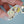 Load image into Gallery viewer, 611fc05e3c4ce80992caae23_book-opossum-keychain_1790815911171.jpg
