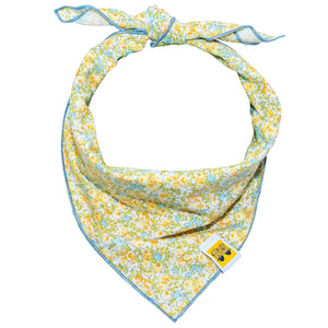 611fc05e3c4ce80992caae23_buttercup-glow-bandana_1771811584613.jpg