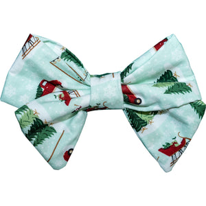 611fc05e3c4ce80992caae23_christmas-tree-farm-sailorbow_1758767054672.jpg