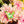 Load image into Gallery viewer, 611fc05e3c4ce80992caae23_chrome-death-pin-glow-in-the-dark-894139_1759005792058.jpg
