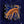 Load image into Gallery viewer, 611fc05e3c4ce80992caae23_dog1-insta_1772488510039.jpg
