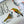 Load image into Gallery viewer, 611fc05e3c4ce80992caae23_dscf9157_1783032973674.jpg
