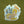 Load image into Gallery viewer, 611fc05e3c4ce80992caae23_dscf9233_1785516581269.jpg
