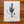 Load image into Gallery viewer, 611fc05e3c4ce80992caae23_ellen-orchard-saguaro1_1780604006582.jpg
