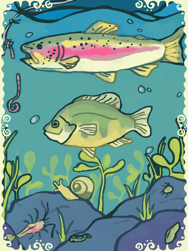 611fc05e3c4ce80992caae23_fish-and-invertibrates_1789512302079.png