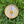 Load image into Gallery viewer, 611fc05e3c4ce80992caae23_fullsizerender_1752114869638.jpeg
