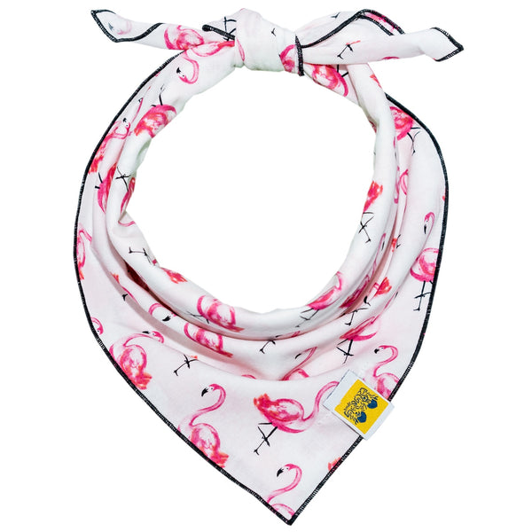 Funky Flamingos Dog Bandana
