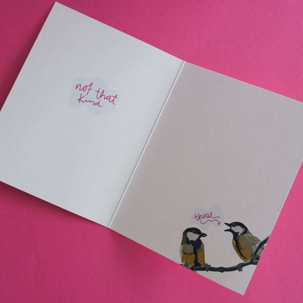 611fc05e3c4ce80992caae23_great-tits-card-5_1790811040969.jpg